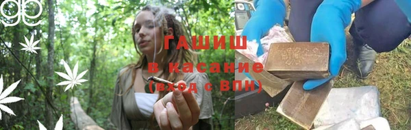 PSILOCYBIN Алзамай