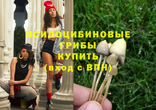 PSILOCYBIN Алзамай