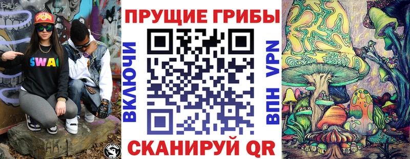 маркетплейс какой сайт  Сясьстрой  Галлюциногенные грибы Cubensis  ОМГ ОМГ сайт 